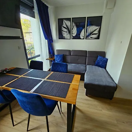 شقة Apartament Radiostacja III Z Ogrodkiem, Dwupokojowe, Parking Free غليفيتسه